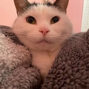 Meet your Posher, Kaylee